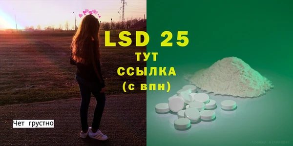 PSILOCYBIN Иннополис