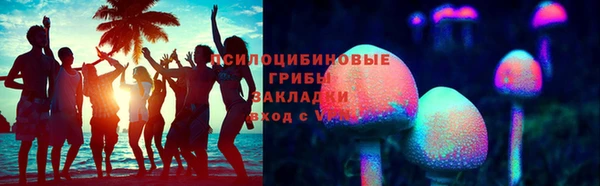 PSILOCYBIN Иннополис