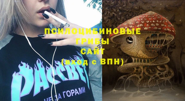 PSILOCYBIN Иннополис