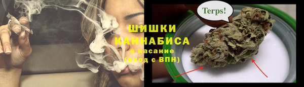 PSILOCYBIN Иннополис