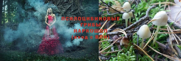 PSILOCYBIN Иннополис