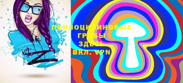 метадон Инта