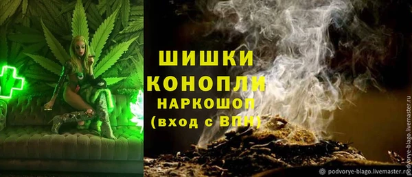 метадон Инта