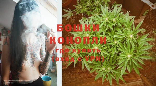 PSILOCYBIN Иннополис